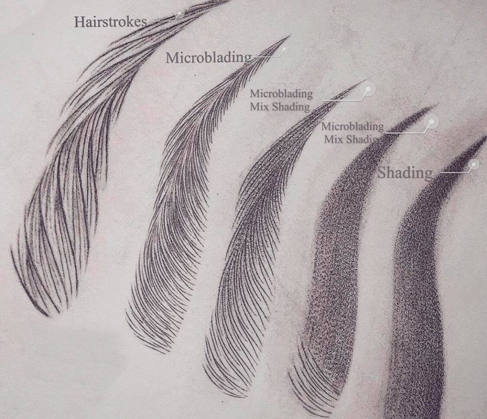 58378417_1959175044204836_8638096194888794112_n